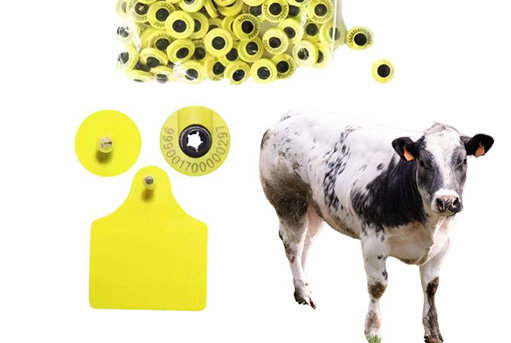 How to decrease the lost rate of ear tag?