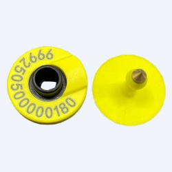 Reusable typed FDX-B RFID ear tag