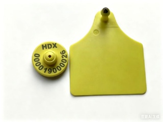 HDX ear tag for cattle cow etc