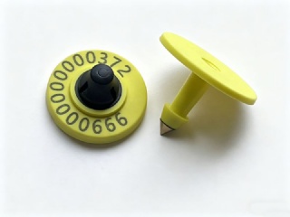 New tamper-proof FDX ear tag for sheep goat