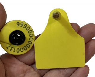 Tamper-proof typed FDX-B RFID ear tag