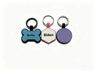 Silicone dog tag