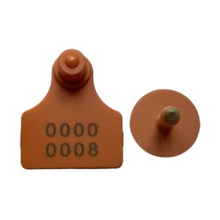 Tamper proof typed ear tag for sheep or pig