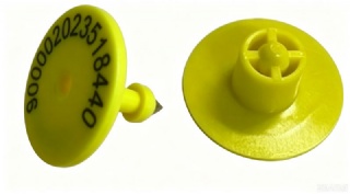 UHF ear tag for pig or sheep goat