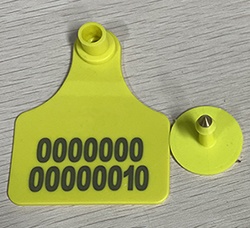 Visual cattle cow ear tag