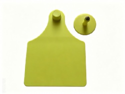 100*75 or 75*60mm sized Visual ear tag for cattle