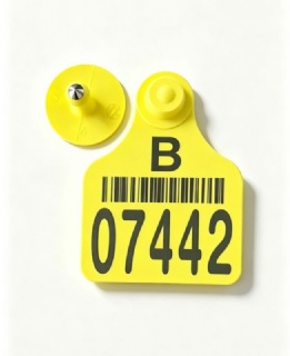 Tamper-proof typed cattle ear tag